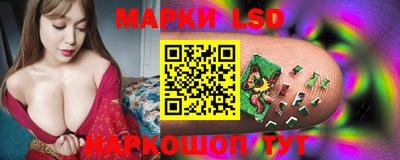 PSILOCYBIN Новодвинск