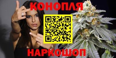амф Новозыбков