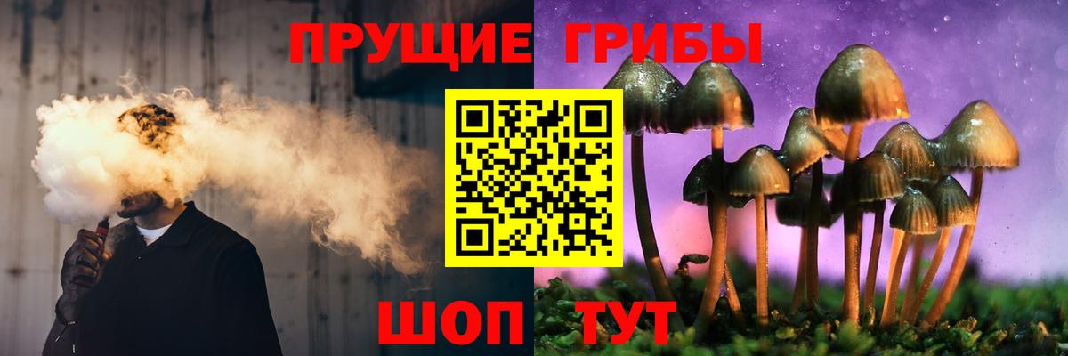 Пугачёв  Псилоцибиновые грибы GOLDEN TEACHER  Вход с VPN  Галлюциногенные грибы мицелий 