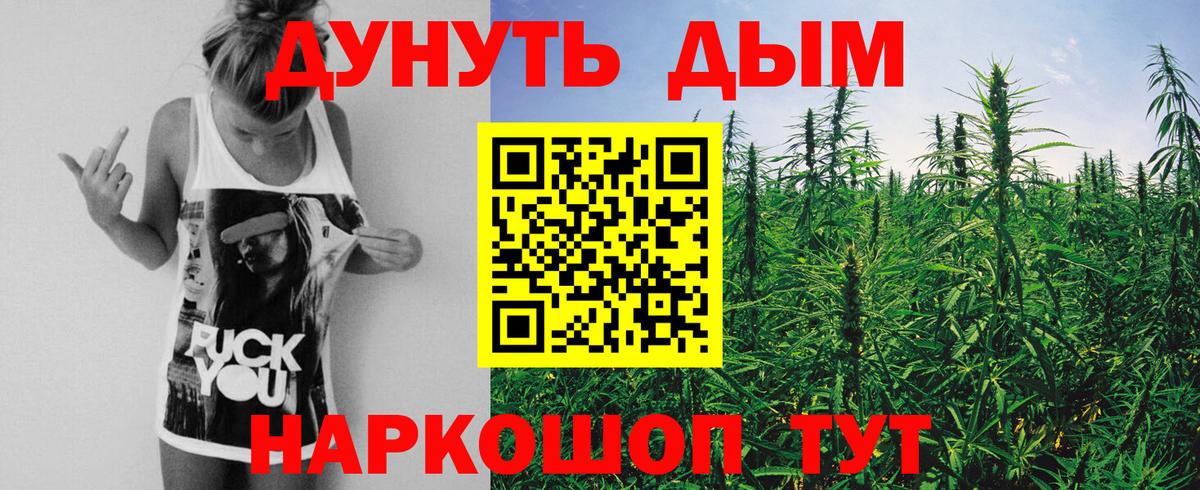 Бошки Шишки сатива Пугачёв